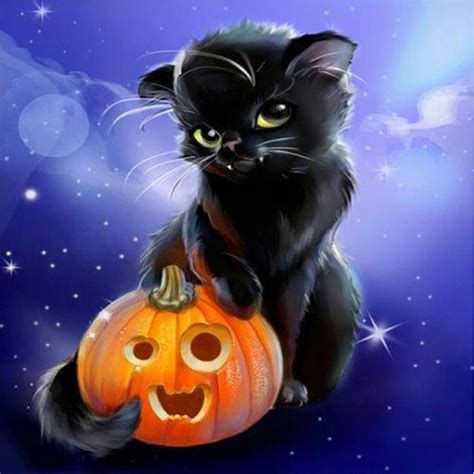Trick Or Treat Kitten Halloween Pictures Black Cat Halloween