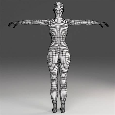 D Female Body Model