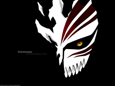 Hollow Mask Bleach Anime Wallpaper 7344290 Fanpop