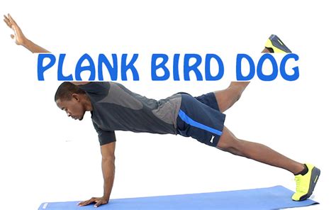 We're so lucky to be partnering with petco to make the event possible! How to Do Plank Bird Dog Exercise Properly - Focus Fitness