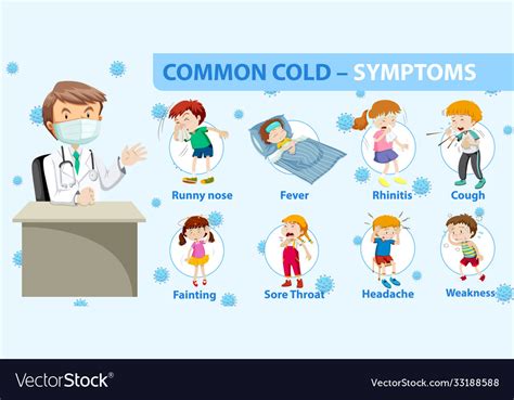 Common Cold Symptoms Cartoon Style Infographic Vector Image