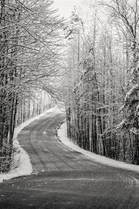 Tree Lined Country Road With Snow Stock Image Image Of Winterscape