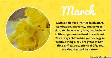 March Birth Flower Meaning Birth Flowers Birth Month Flowers March