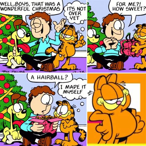 garfield comic on instagram “merry day after christmas garfield lovable lazy orange kitty