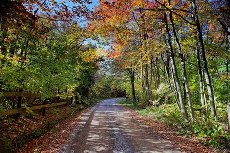 Autumn Trees Country Road Fence Forest Trails Free Nature Pictures