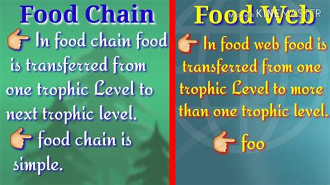 A food web is a multitude of food chains that are interconnected at many trophic levels. Difference between Food Chain and Food Web in Hindi ...