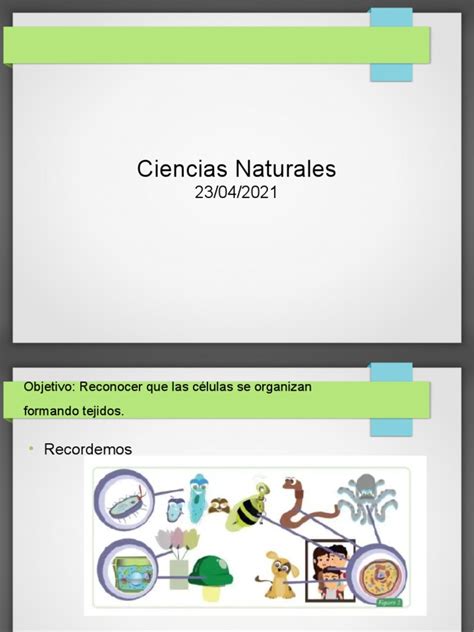 Ciencias Naturales Viernes 23 De Abril Pdf