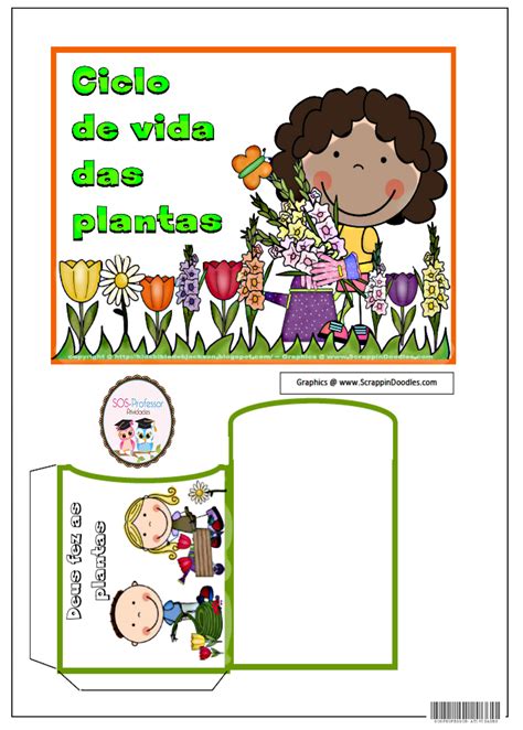 Ciclo de vida das plantas Blog Bible fun for kids AQUI Faça uma pasta