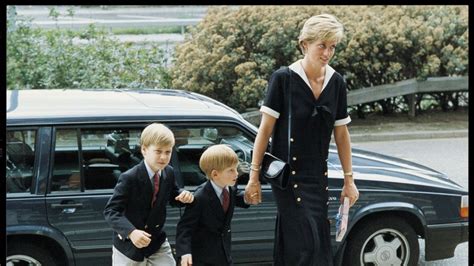 33 Best Photos Of Princess Diana Playing With Young William And Harry Sheknows Prince Harry