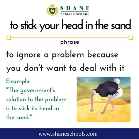 To Stick Your Head In The Sand To Ignore A Problem Because You Dont