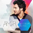 Amir Haddad - Au Cœur De Moi (CD, Album) | Discogs
