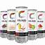 Shop Celsius Energy Drink Deal Online L Campus Protein – CampusProteincom