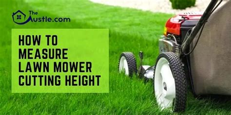 How To Measure Lawn Mower Cutting Height Experts Guide