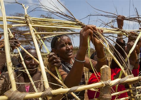 Borana Women Building A House With Wood Marsabit District Flickr