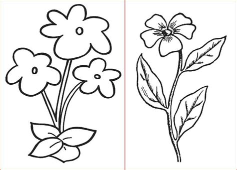 Ide 70 Menggambar Bunga Mawar Dan Melati