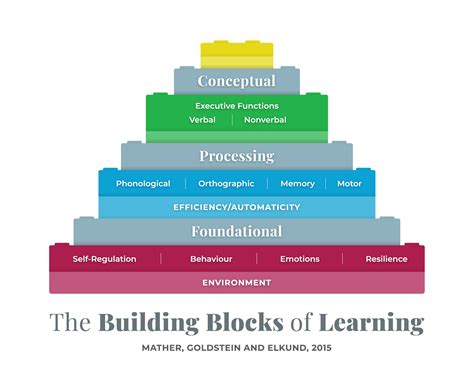 Types Of Learning Disabilities Nild Canada