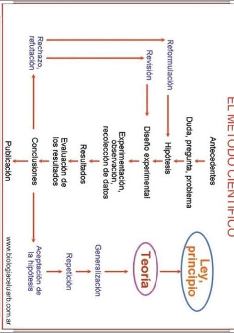 Cuadro Comparativodocx Hipotesis Ciencia Images Hot Sex Picture