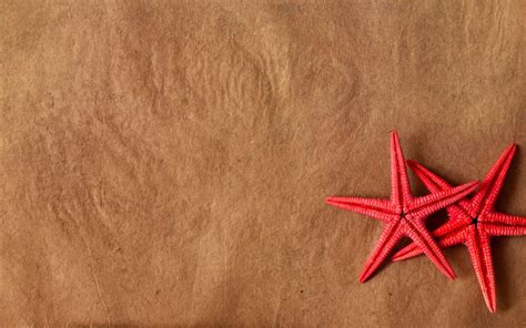 Download Red Starfish On Sand Wallpaper