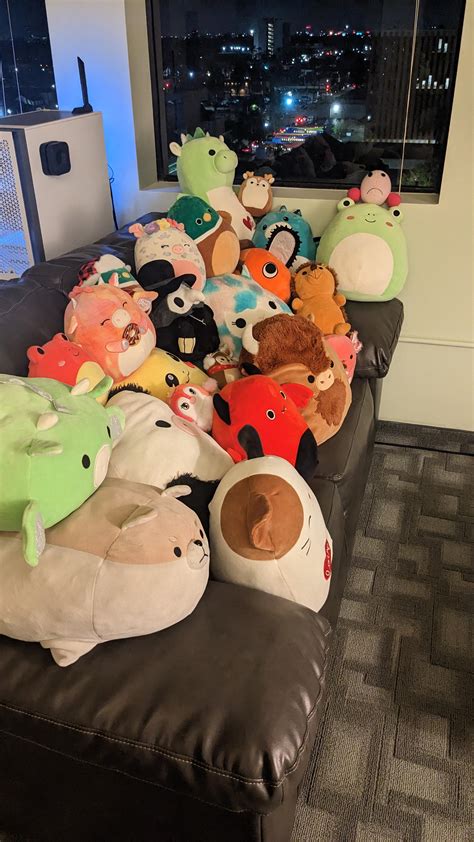 My Plushie Collection Has Taken Over The Couch I Now Sit On The Floor