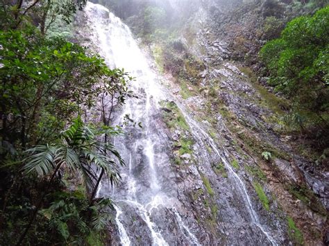Parque Nacional La Tigra Lugar De Encantos Naturales Primicia Honduras