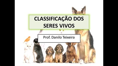 ClassificaÇÃo Dos Seres Vivos Youtube