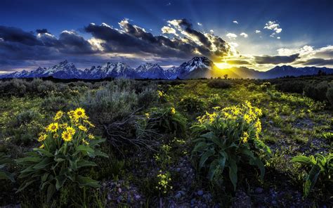 Sunset Mountains Field Flowers Landscape Wallpaper 2560x1600 153344