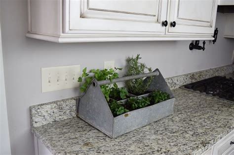 Easy Countertop Herb Garden Indoor Plants Apartments Herbs Indoors