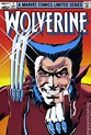 Wolverine Omnibus HC (2009 Marvel) 1st Edition comic books