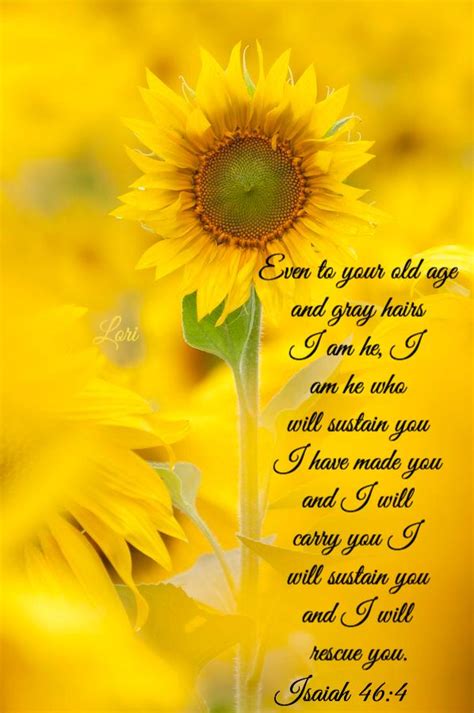 Pin By Lori On Pinning For Yeshua Sunflower Quotes Scripture Verses