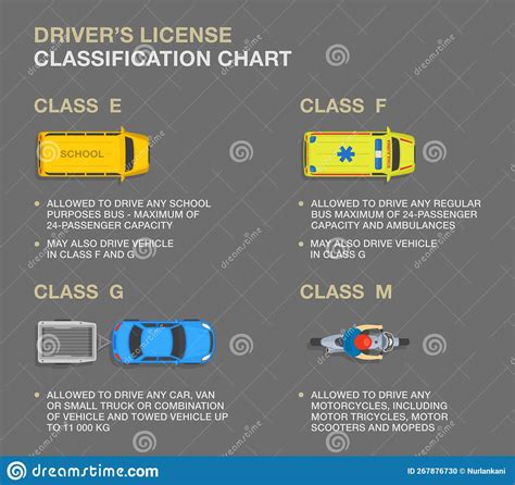 Types Of Driving Licences And Descriptions Driver`s License