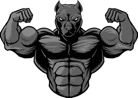 Royalty Free Bodybuilding Logos Cartoons Clip Art Vector Images