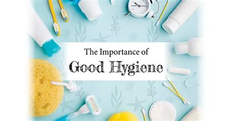 The Importance Of Hygiene Personally Delivered Blog