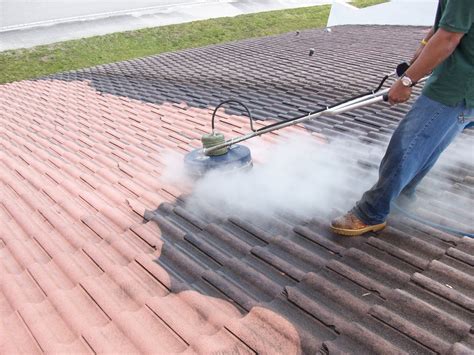 How Much Does It Cost To Clean Roofs