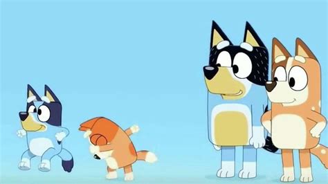 Kids Show Bluey Makes Writer Envious Of Cartoon Dogs