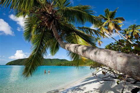 Maho Bay Beach In St John Named No 11 Beach In The World By Tripadvisor Virgin Islands Free