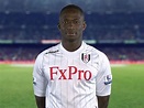Mahamadou Diarra - Mali | Player Profile | Sky Sports Football