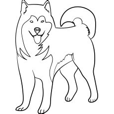Desenho de cachorro para col. 🌿 25 páginas para colorir de cachorros fofos e divertidos ...