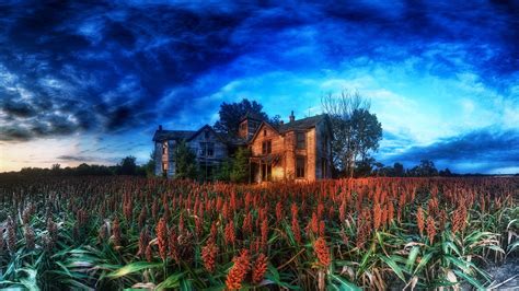 House Hdr Clouds Cabin Plants Trees Nature Abandoned Wallpapers