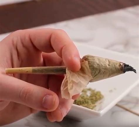 How To Roll A Dutch Tulip Joint Greenrush