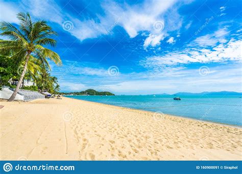 Beautiful Tropical Beach Sea And Ocean With Coconut Palm