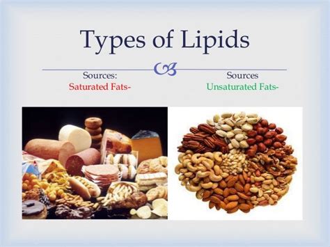 Lipids Fats And Oils