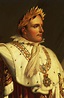 Napoleone Bonaparte: biografia e storia | Studenti.it