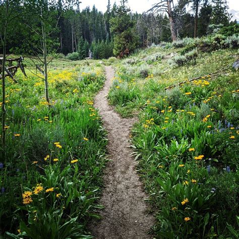 With Picturesque Views And Wildflowers Galore Summer In Breckenridge