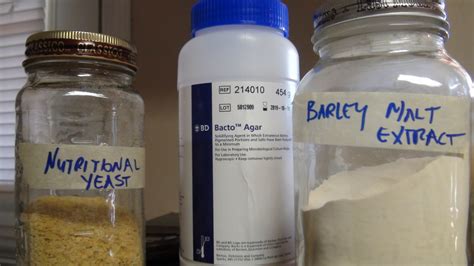 How To Make Sterilized Agar Plates Freshcap Mushrooms