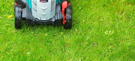 If possible, wait until the grass is dry before you attempt to cut it. Can You Efficiently Strim (and Cut) Wet Grass and Should ...