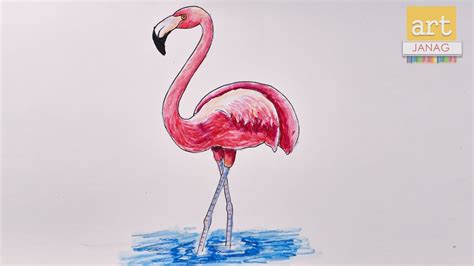 How To Draw Flamingo Bird Step By Step Ii How To Draw A Flamingo Ii By