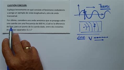 Movimiento Ondulatorio 7 DescripciÓn Y Ejemplo De Onda Transversal Y Longitudinal FÍsica