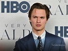 Get to Know Ansel Elgort Height: Facts, Figures, and Insights » YTC