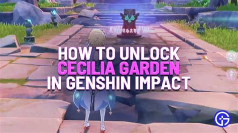 Players need these added benefits to progress faster in the game. Cecile\'S Garden Genshin Impact : Cecilia garden is an ...