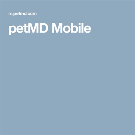 Petmd Mobile Pet Health Care Pet Health Getting A Kitten